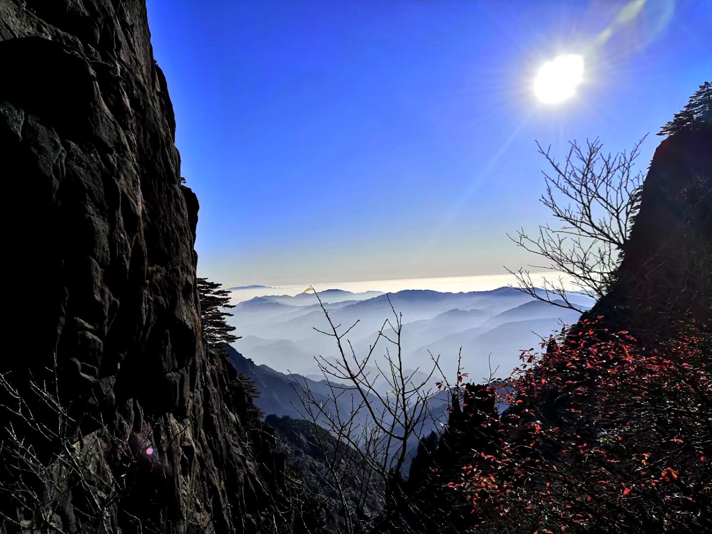 微信圖片_20201116162635.jpg 微信圖片_20201116162635.jpg