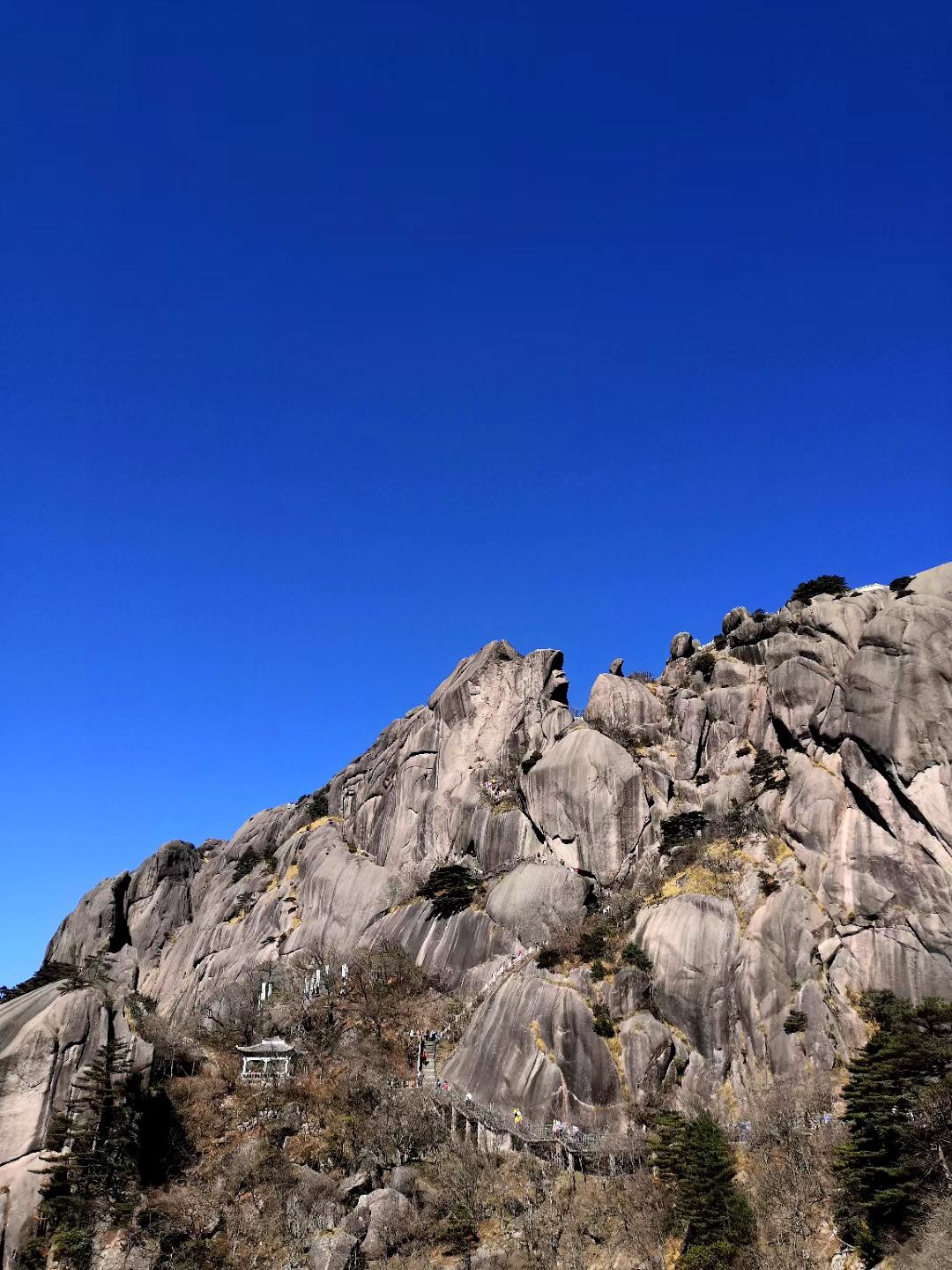 微信圖片_202011161626355.jpg 微信圖片_202011161626355.jpg