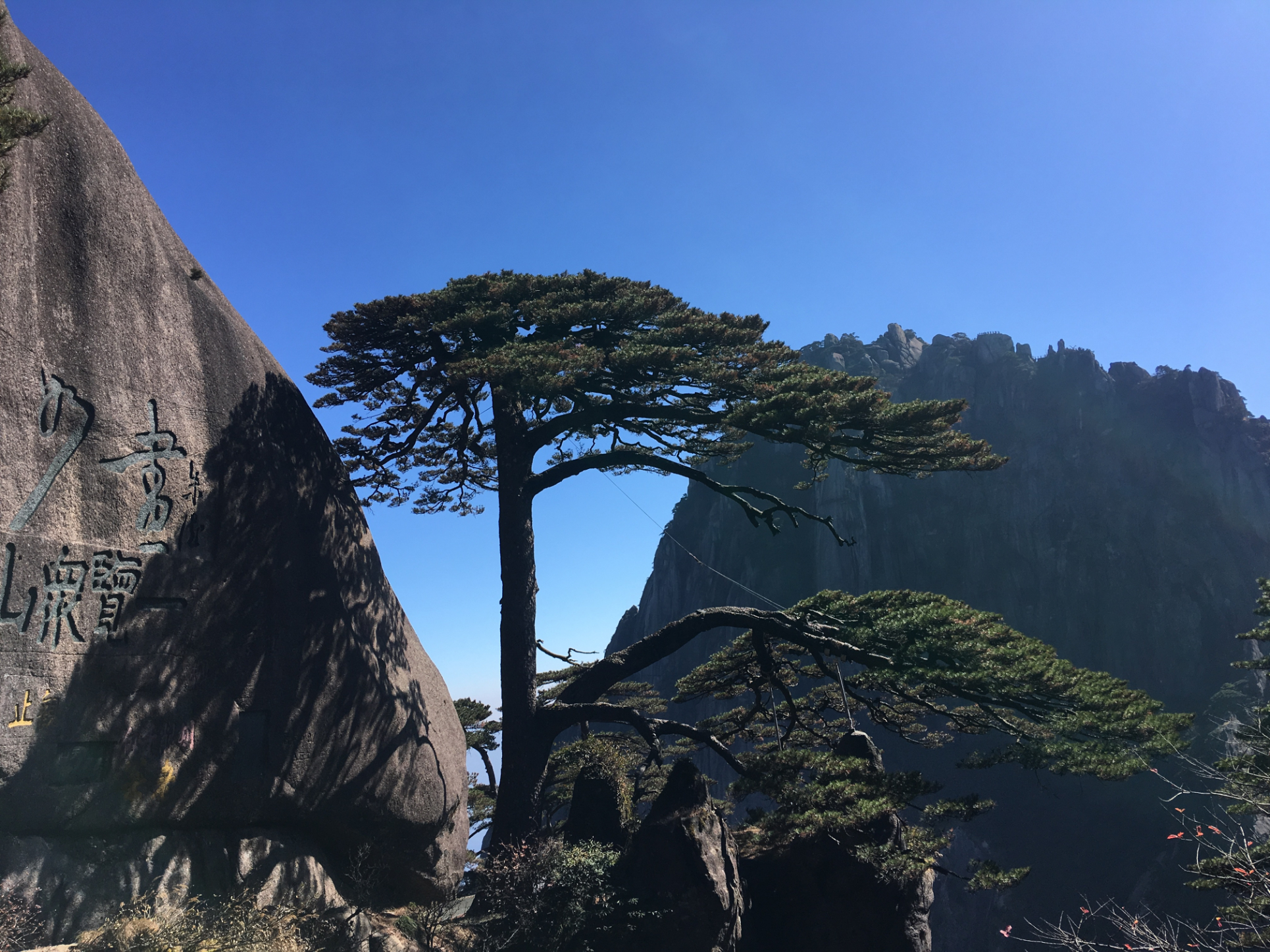 微信圖片_20201116170717.jpg 微信圖片_20201116170717.jpg